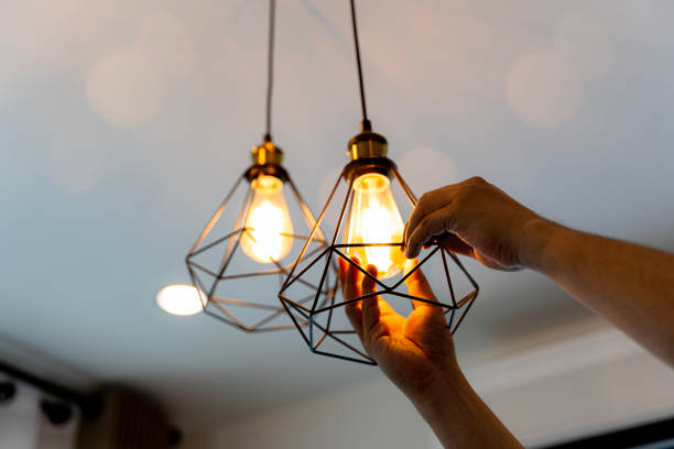 Best Emergency Electrician Near Me  in Davis Junction, IL