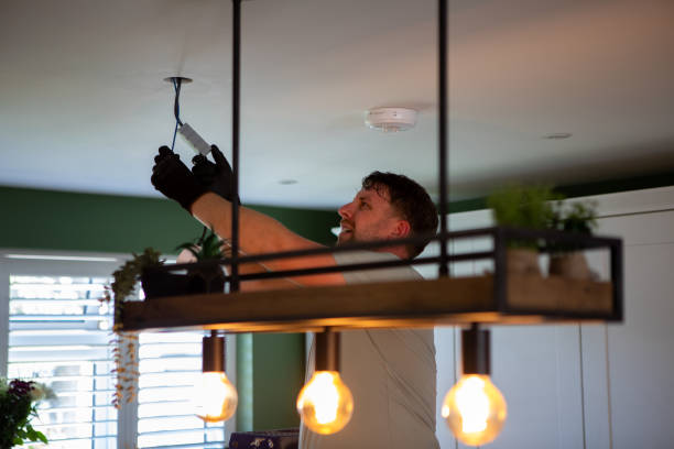 Best Emergency Electrical Repair  in Davis Junction, IL