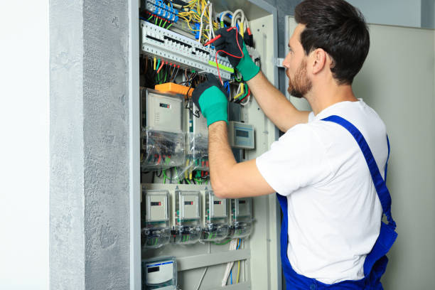 Best Local Electrician Companies  in Davis Junction, IL